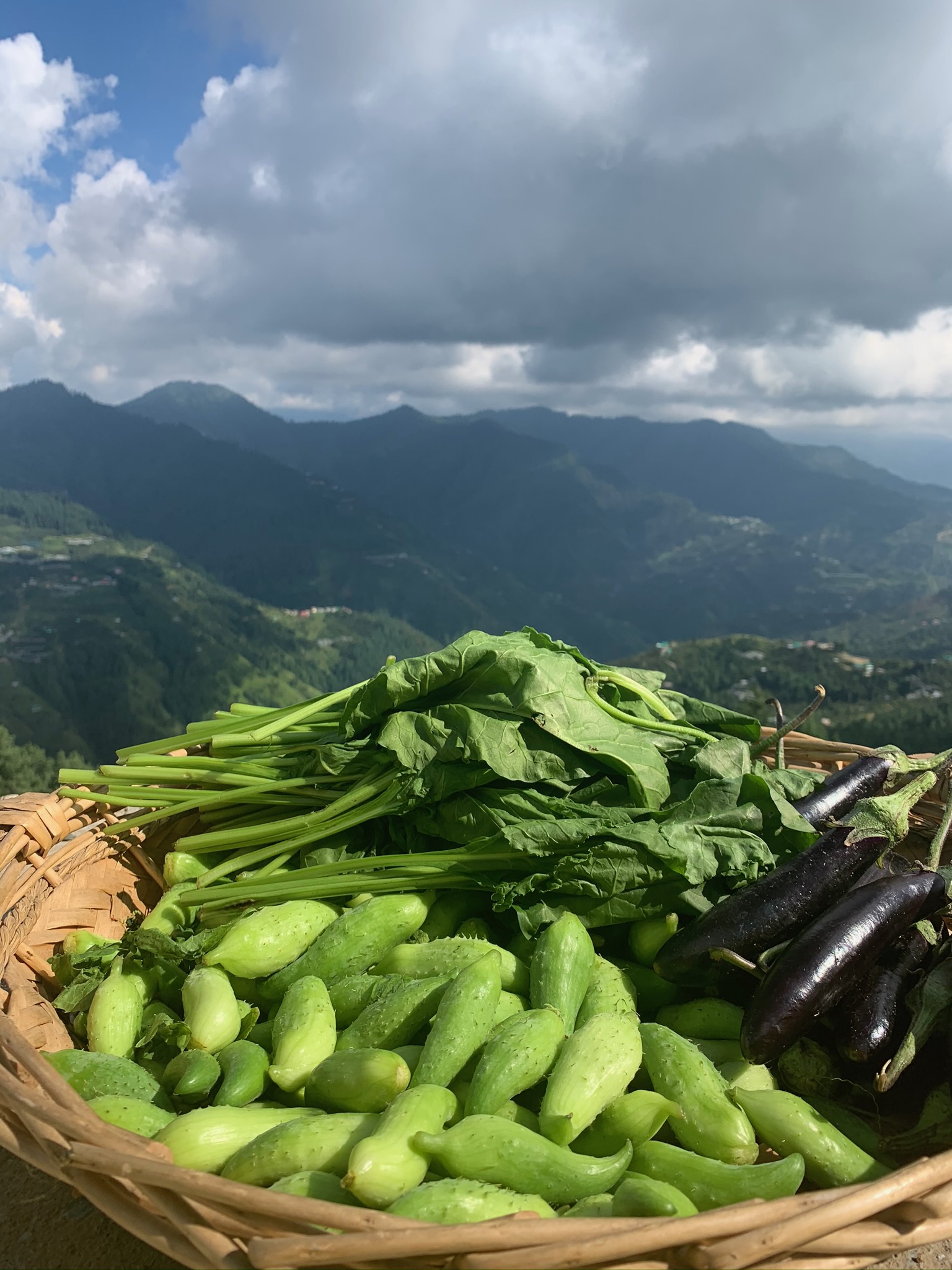 Vegetables