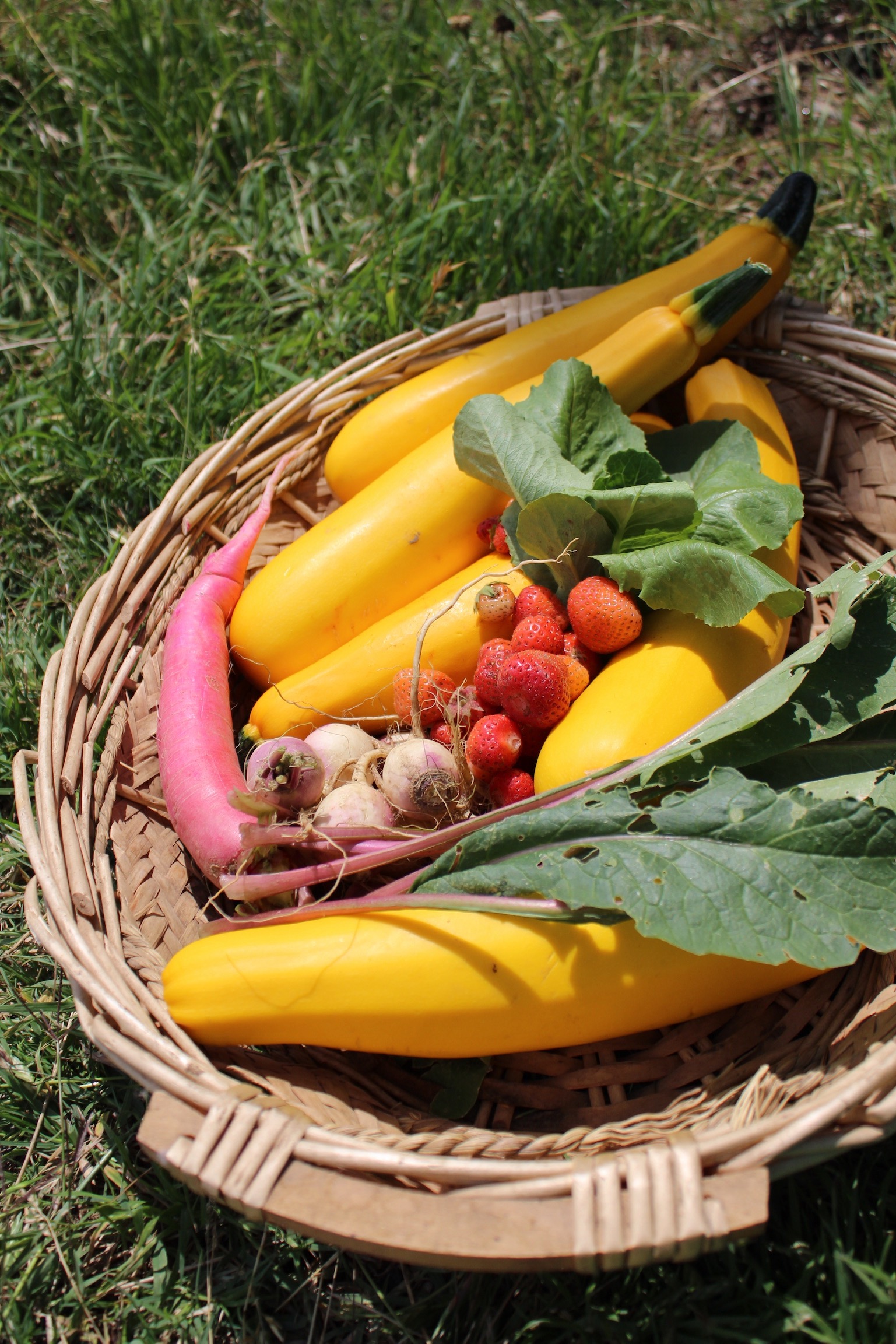 Vegetables